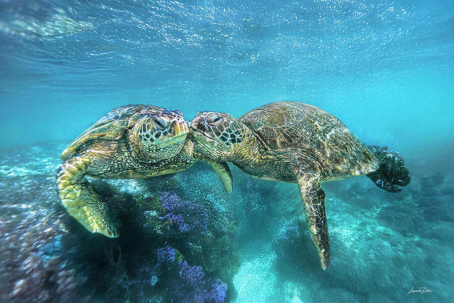 Turtle Saluting Kissing Turtle by Leonardo Dale