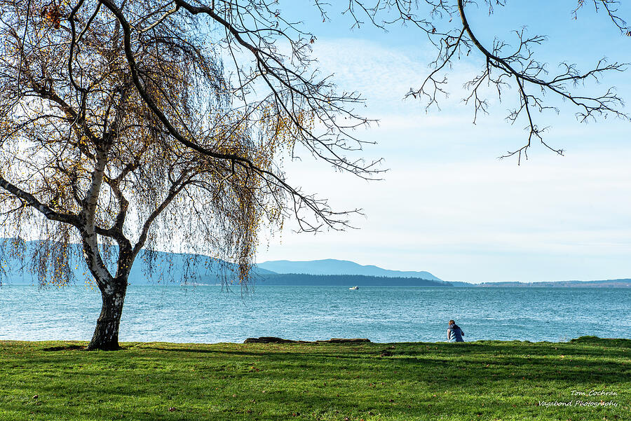 Tranquil Lakeside Moment Photograph - Lacy Branches Hazy Sky at Marine Park by Tom Cochran