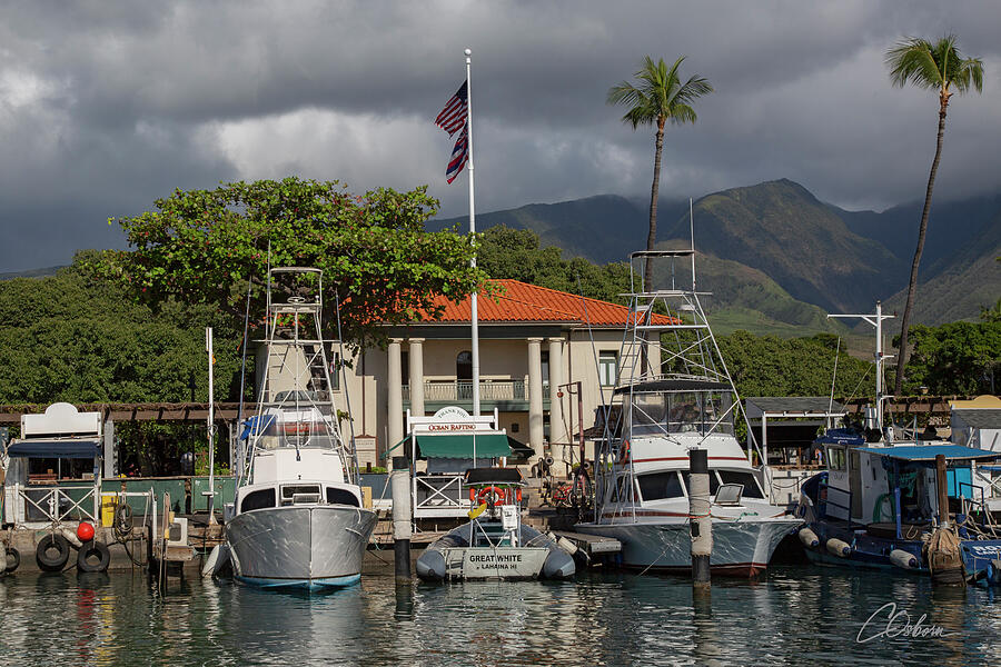 Lahaina Harbor at The Courthouse Photograph by Charlie Osborn