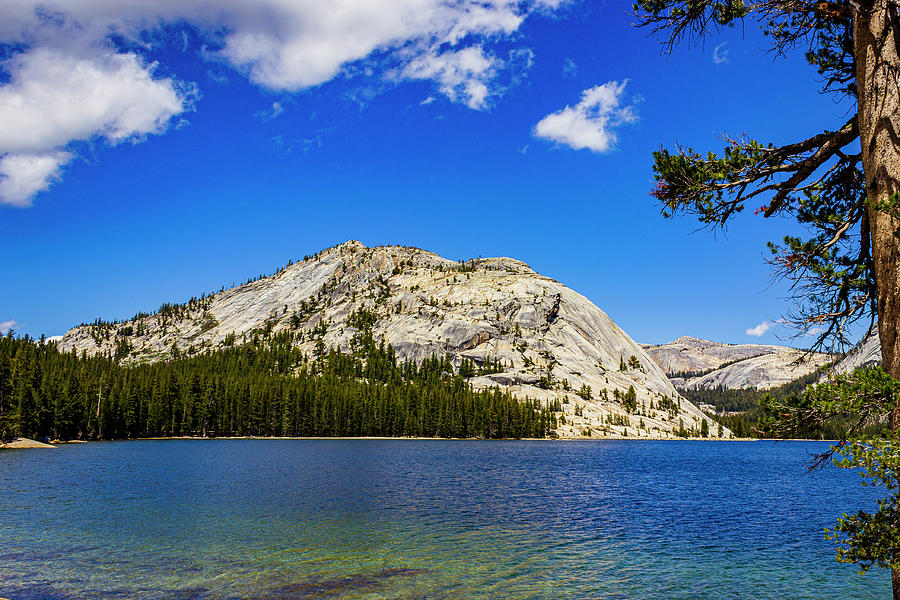 Lake at Yosemite Photograph by David Fountain