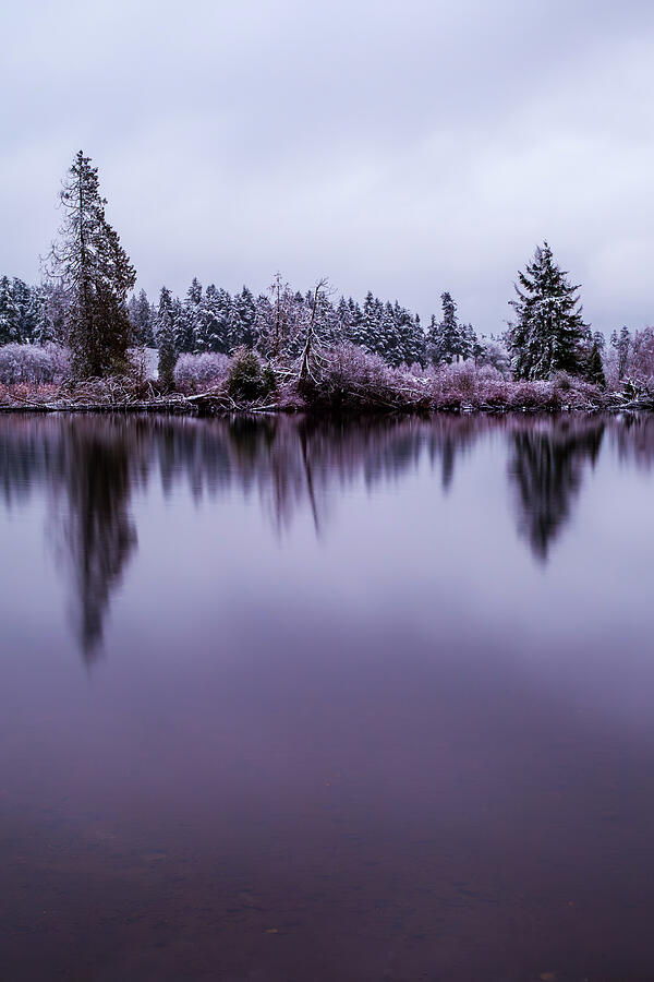 Lake Ballinger Reflections Photograph by Tommy Farnsworth