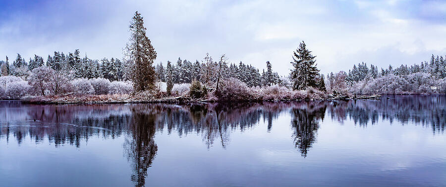 Lake Ballinger Winter Reflection Photograph by Tommy Farnsworth