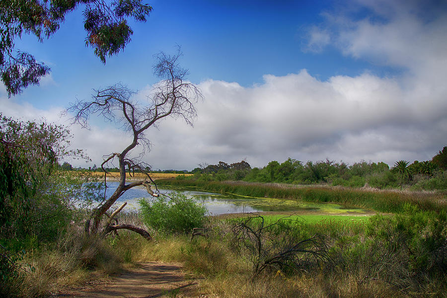 Lake Los Carnerous Photograph by Barbara Siegel