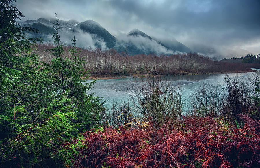 Lake Quinault and Olympics Photograph by Abbie Warnock