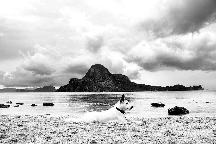 Landscape Photograph by Mia Badenhorst