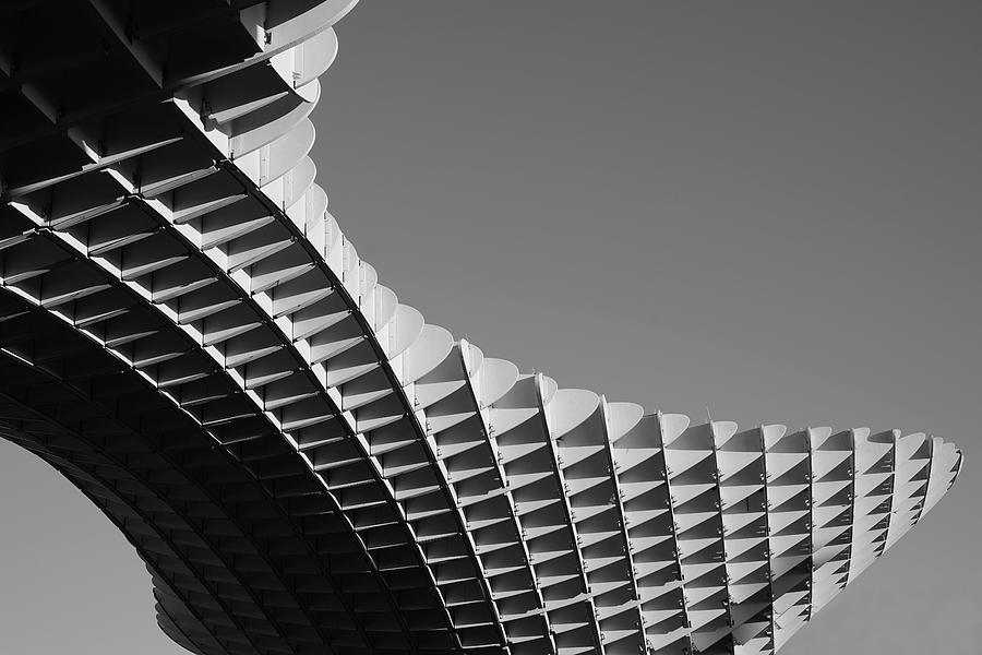 Las Setas de Sevilla - Study 2 Photograph by Richard Reeve