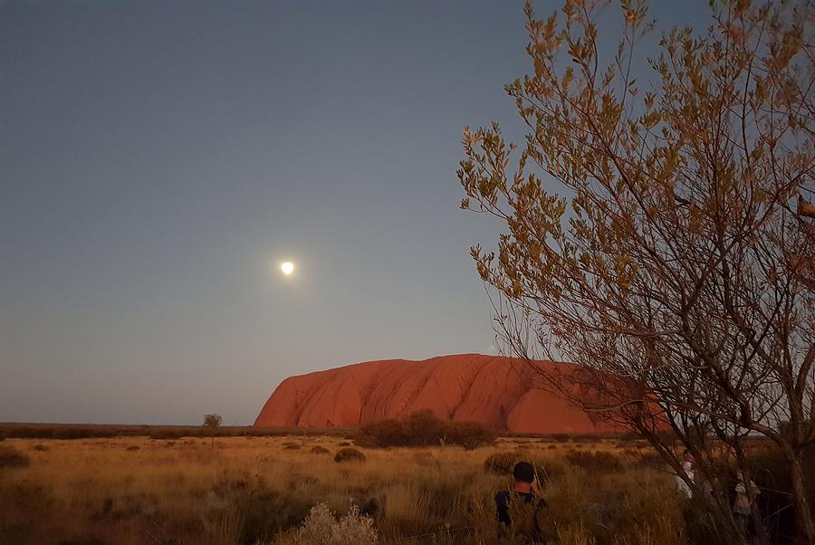Last Light at Uluru Rock Photograph by Andre Petrov