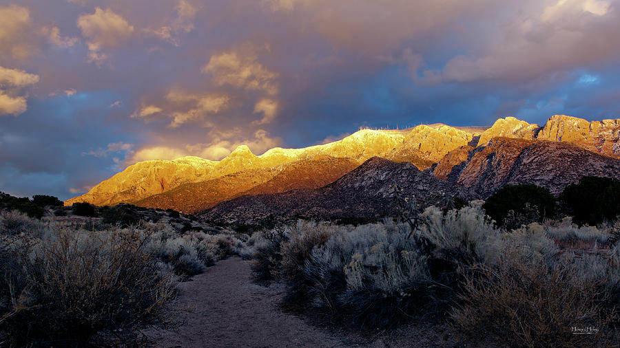 Last Light in the Sandia Foothills Photograph by Howard Holley