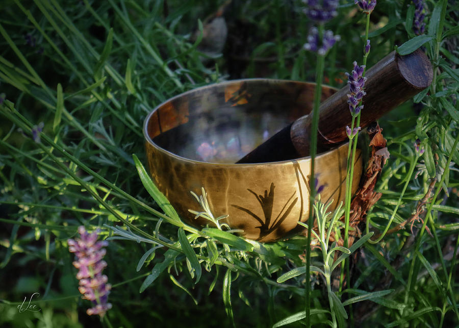 Lavender Vibrations Singing Bowl Photograph by D Lee