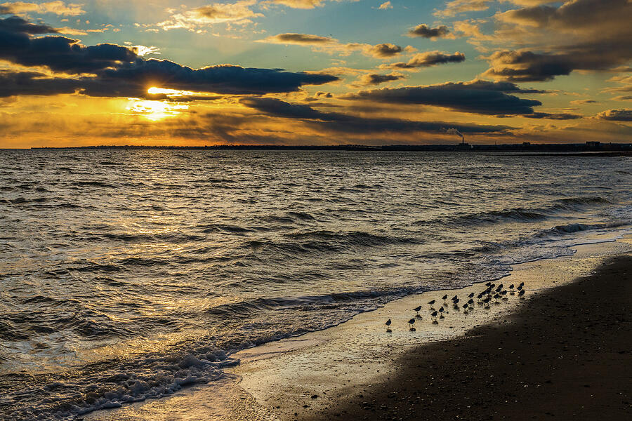 Leader of the Pack Photograph by Rich Kovach