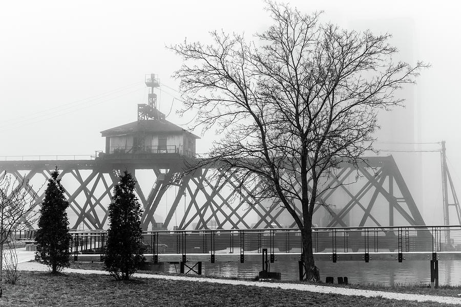 Leafless Tree and Trestle Bridge Photograph by Craig A Walker