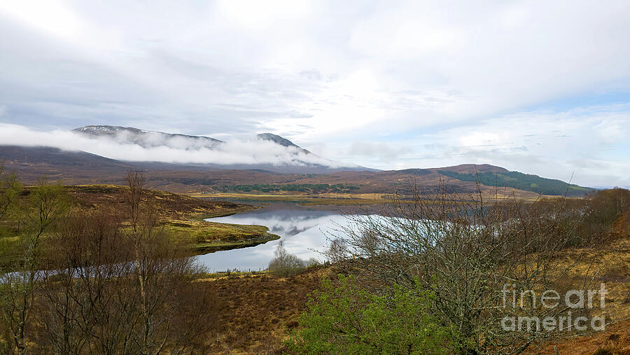 Ledgowan Forest - Ledgowan, Highland Scotland Photograph by Jeff Saunders