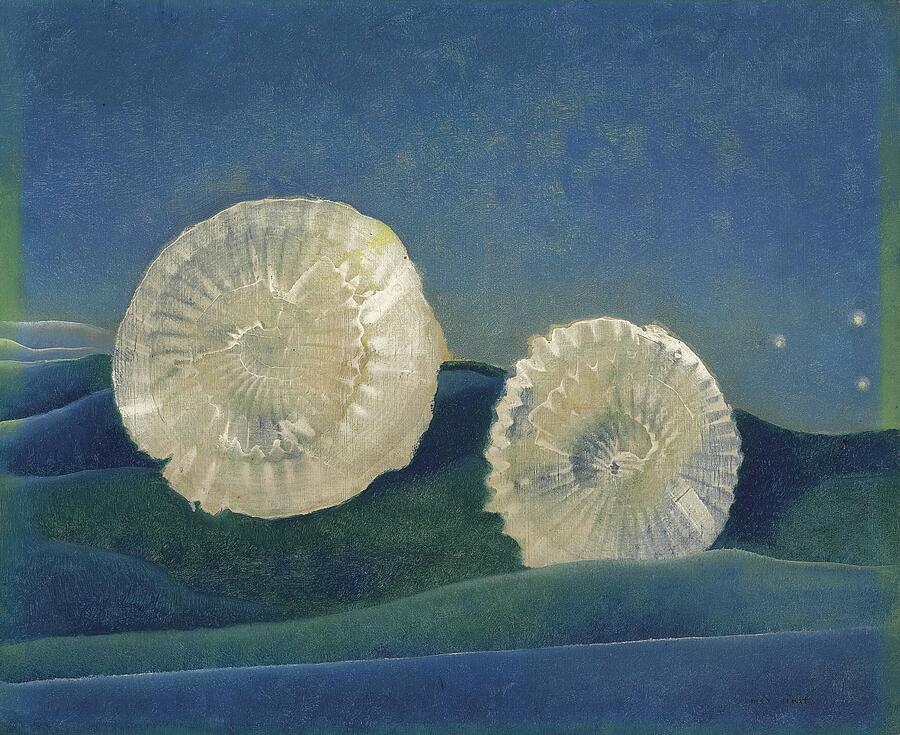 Les Coquilles - The Shells by Max Ernst by Max Ernst