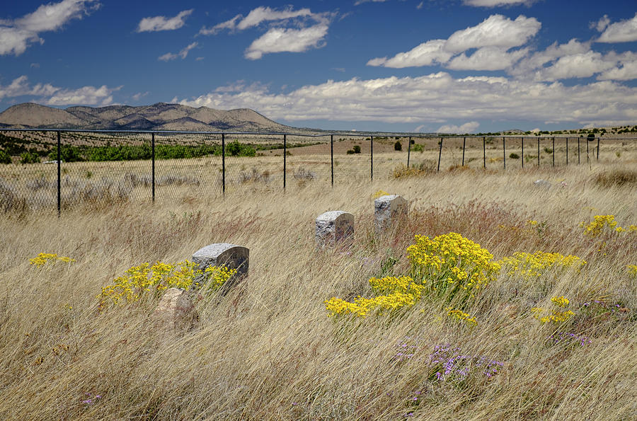Let God Plant the Flowers on My Grave Photograph by Mary Lee Dereske