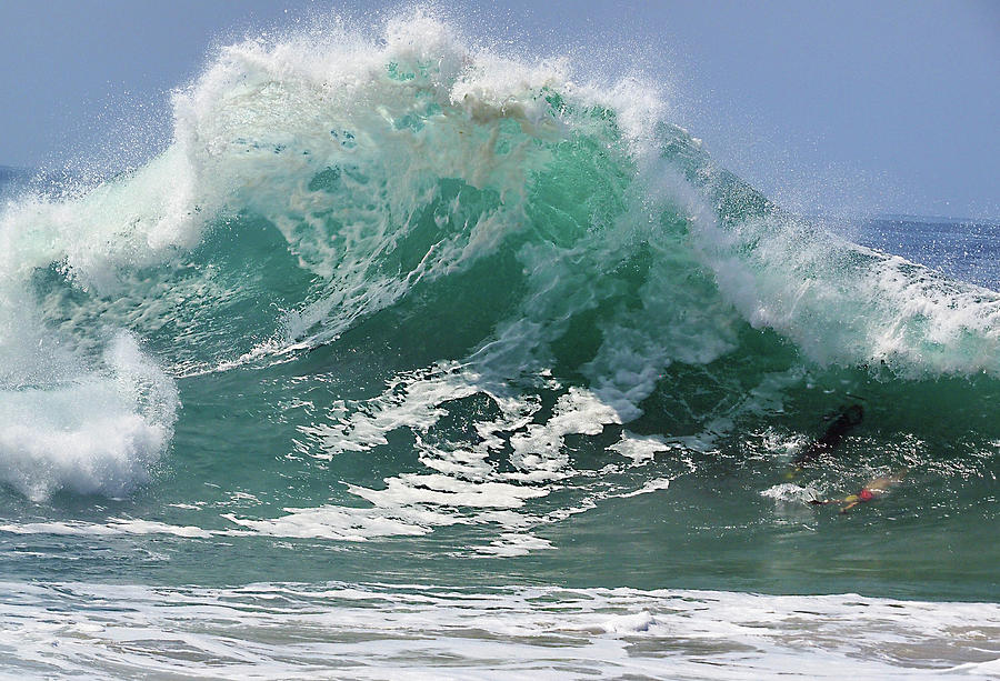 Lets Go Swimming Photograph by Joe Schofield