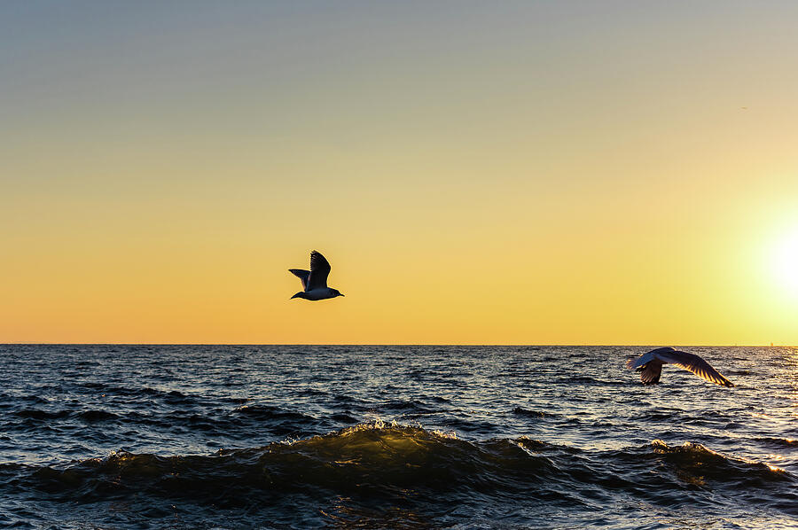 Lift Photograph by Rich Kovach