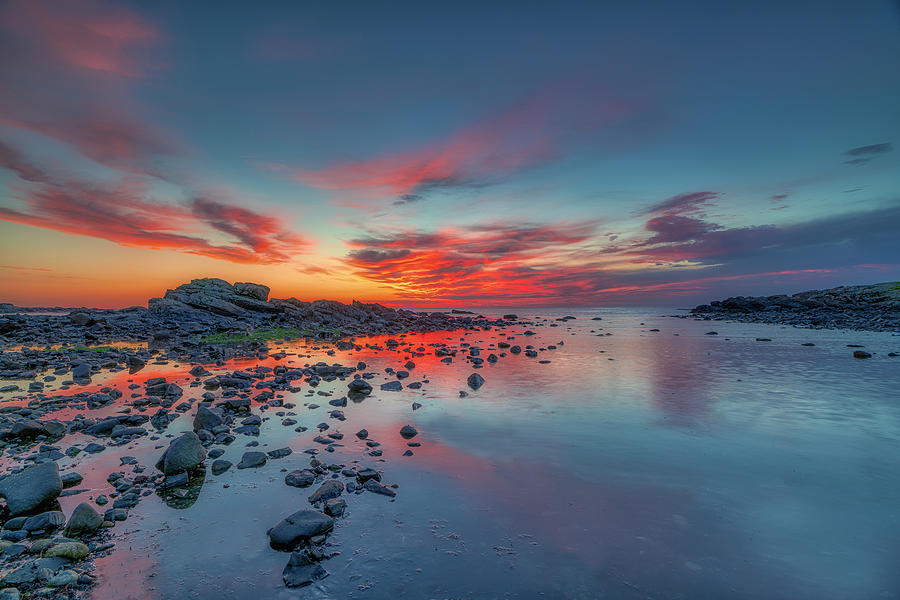 Light, Warmth, Love Photograph by Penny Polakoff
