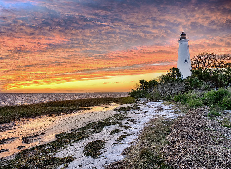 Lighthouse in St Marks National Wildlife Refuge Photograph by Jimmy Pappas