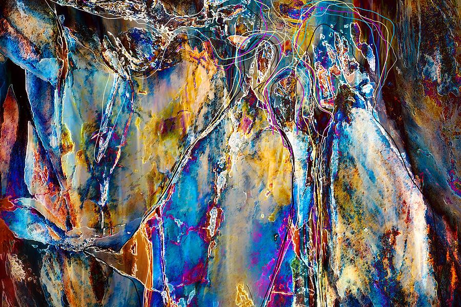 Like-Minded Photograph by Ursula Abresch