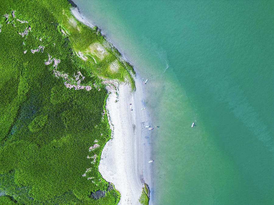 Locals spot Photograph by Oceanic SkyView