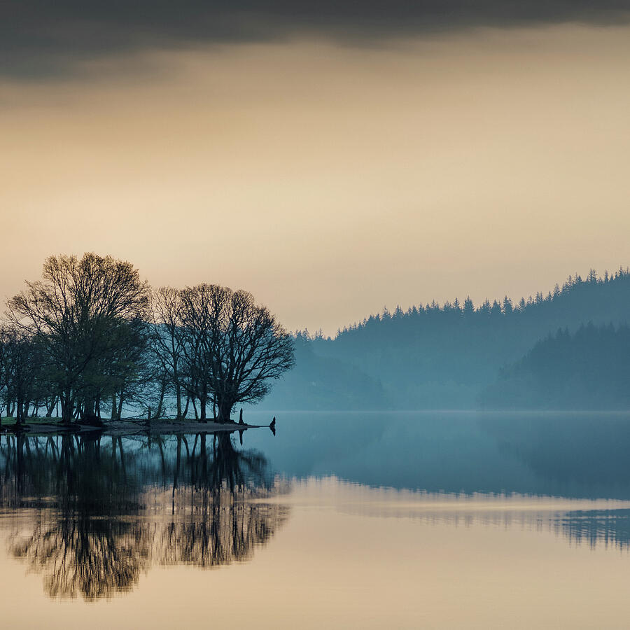Loch Ard Reflection by Dave Bowman