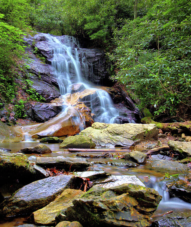 Log Hollow Falls Photograph by Bob Falcone