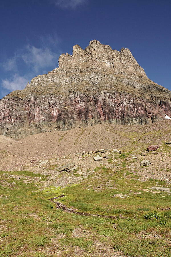 Logan Pass Area at Glacier National Park #1 Photograph by Nancy Gleason
