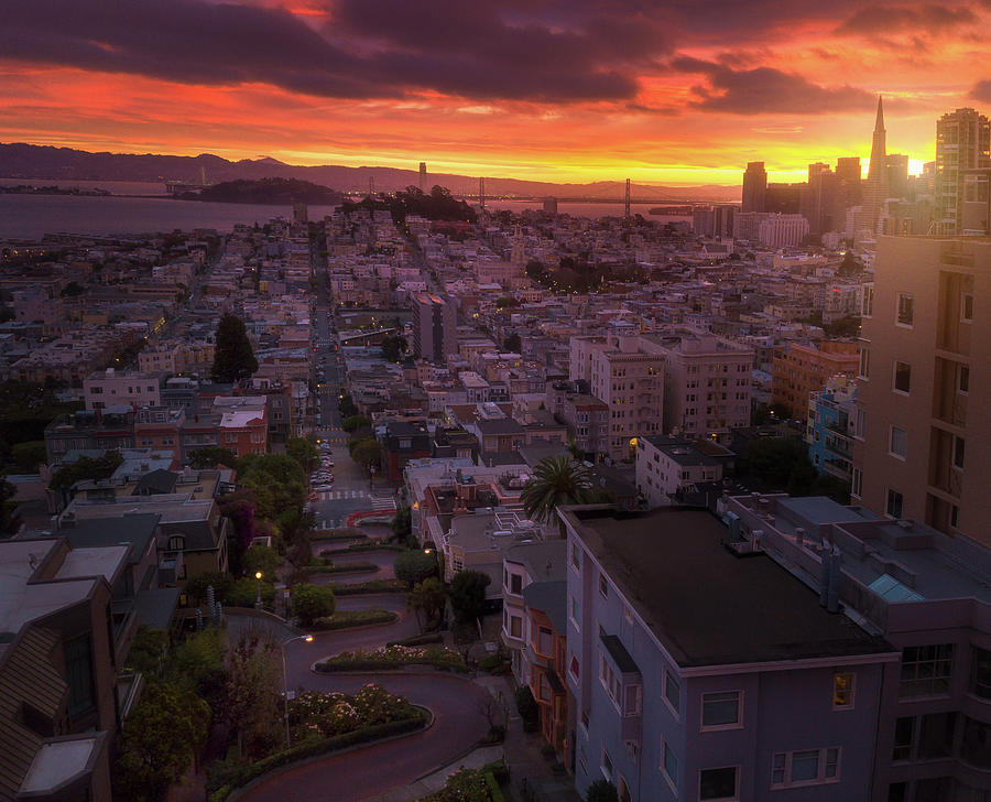 Lombard Birds Eye Photograph by Louis Raphael