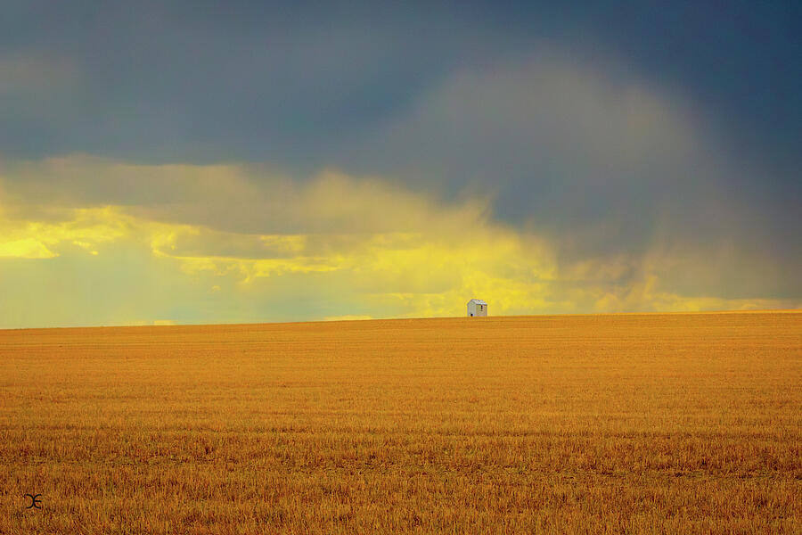 Lone Building in Wheat Field Photograph by Carla E