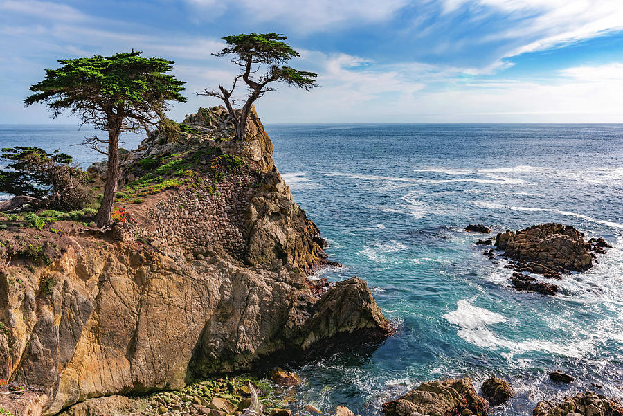 Lone Cypress Cove, Monterey, California Photograph by Abbie Warnock