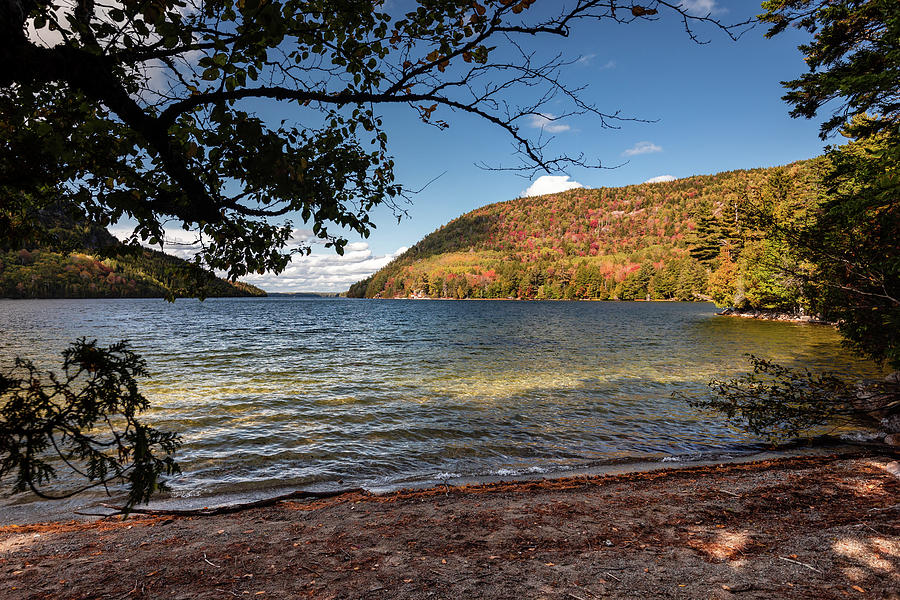 Long Pond Photograph by Craig A Walker