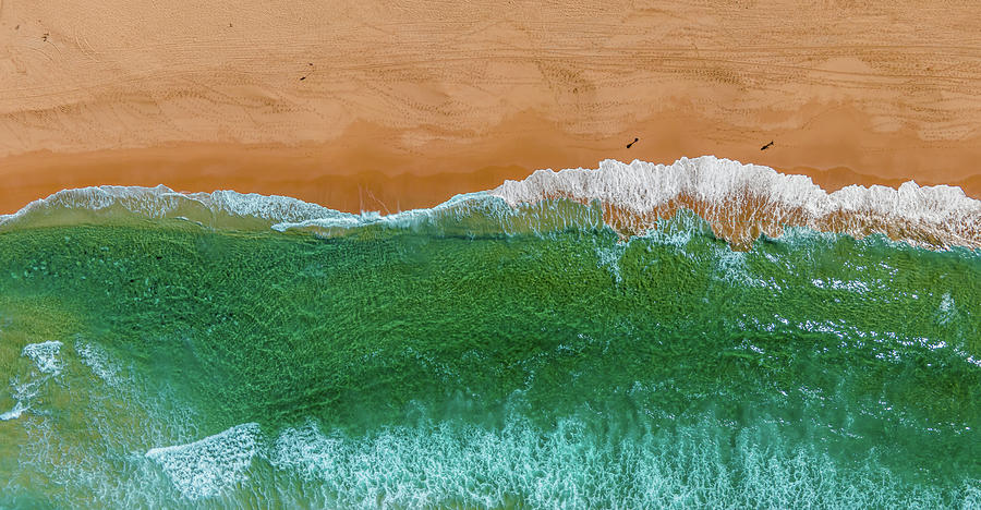 Long Reef Beach No 1 #1 Photograph by Andre Petrov