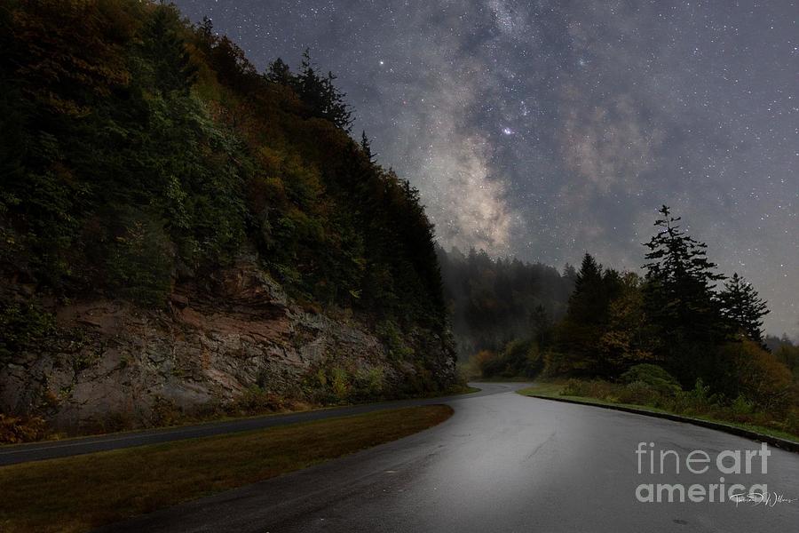 Looking Back Photograph by Theresa D Williams Smoky Mountains