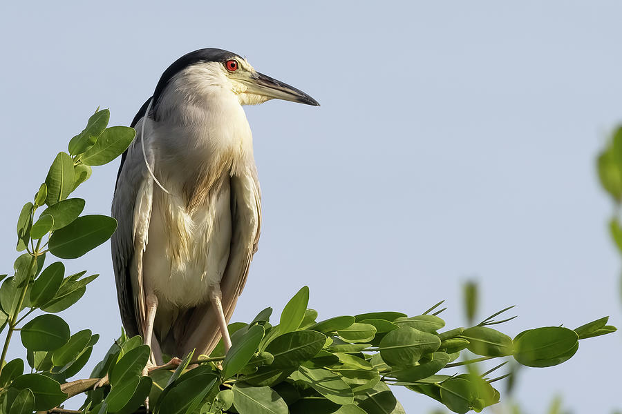 Looking Eastward Photograph by RD Allen