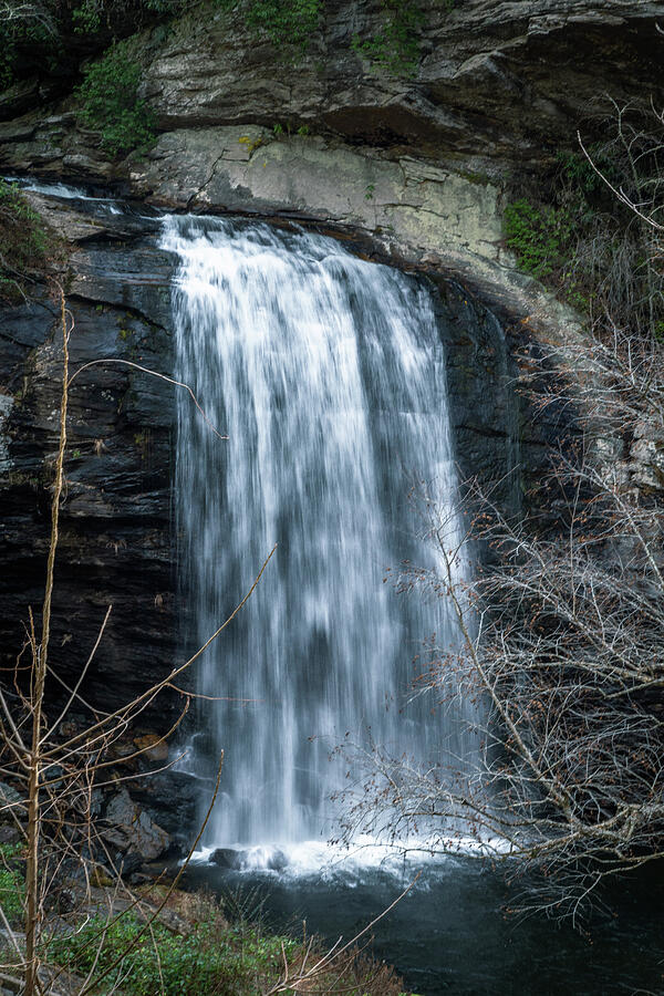 Majestic Waterfall Amidst Cliffs Photograph - Looking Glass Falls 18 by Cindy Robinson