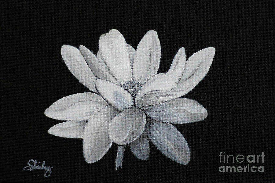 Lotus Painting by Shirley Dutchkowski