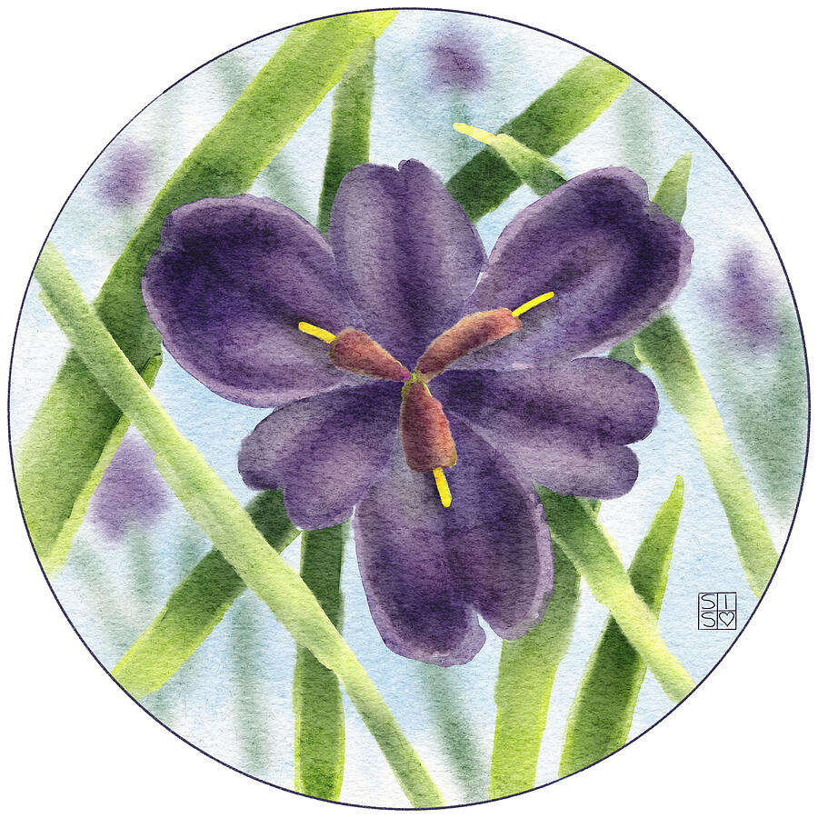 Louisiana Iris Flower Digital Art by Snow Iris Studio