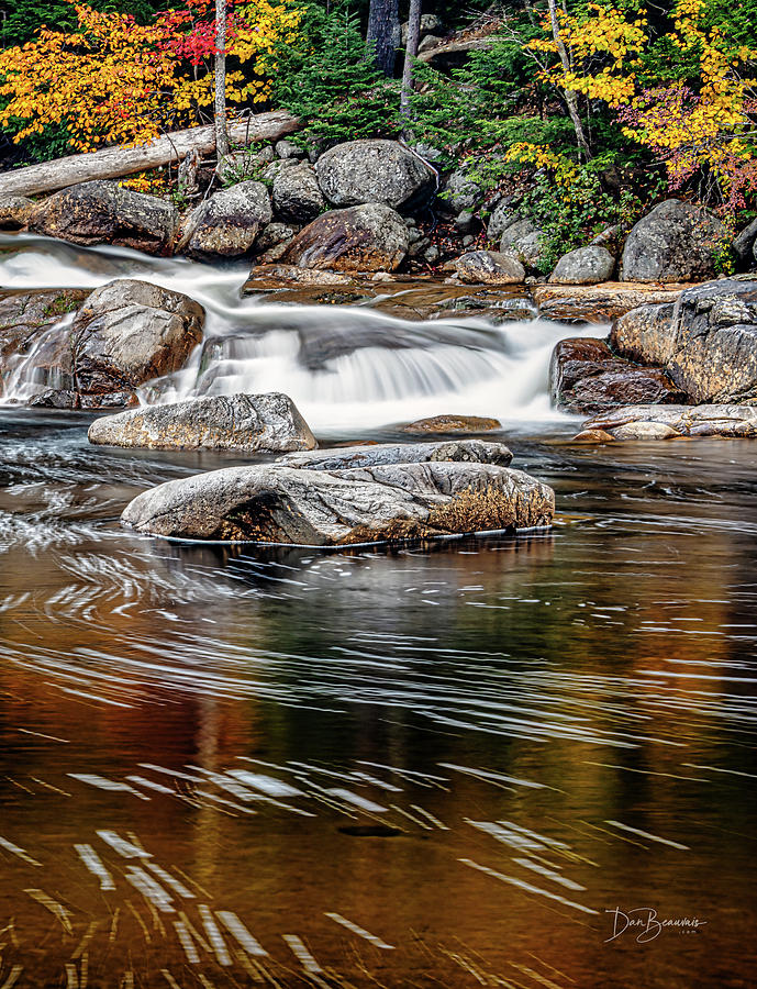 Lower Falls 7893 Photograph by Dan Beauvais