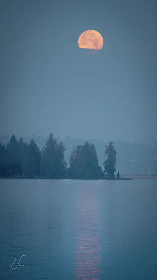 Magical Moon Reflections Photograph by D Lee