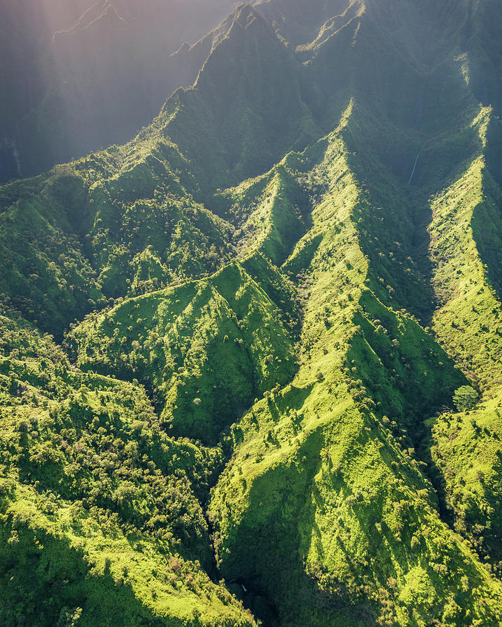 Magnificent Green Photograph by Slow Fuse Photography
