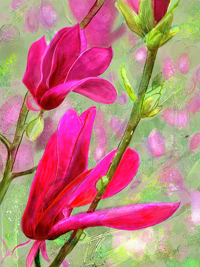 Vibrant Pink Magnolia Blooms Digital Art - Magnolia Spring by Gina Harrison