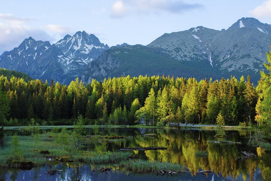 Majestic Mountains and Forest Reflection Photograph - Majestic Mountains and Forest Reflection by Robert Grac
