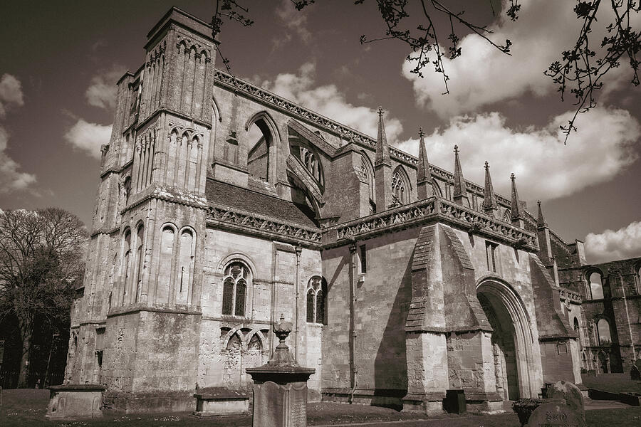 Malmesbury Abbey in spring sunshine Photograph by Seeables Visual Arts