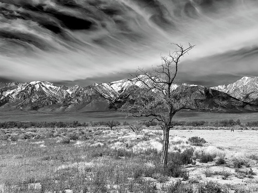 Manzanar in Monotone Photograph by Joe Schofield