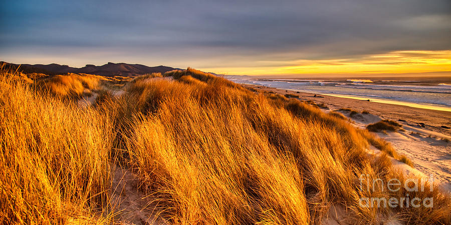 Manzanita, Oregon - dunes and sunset Photograph by Bruce Block