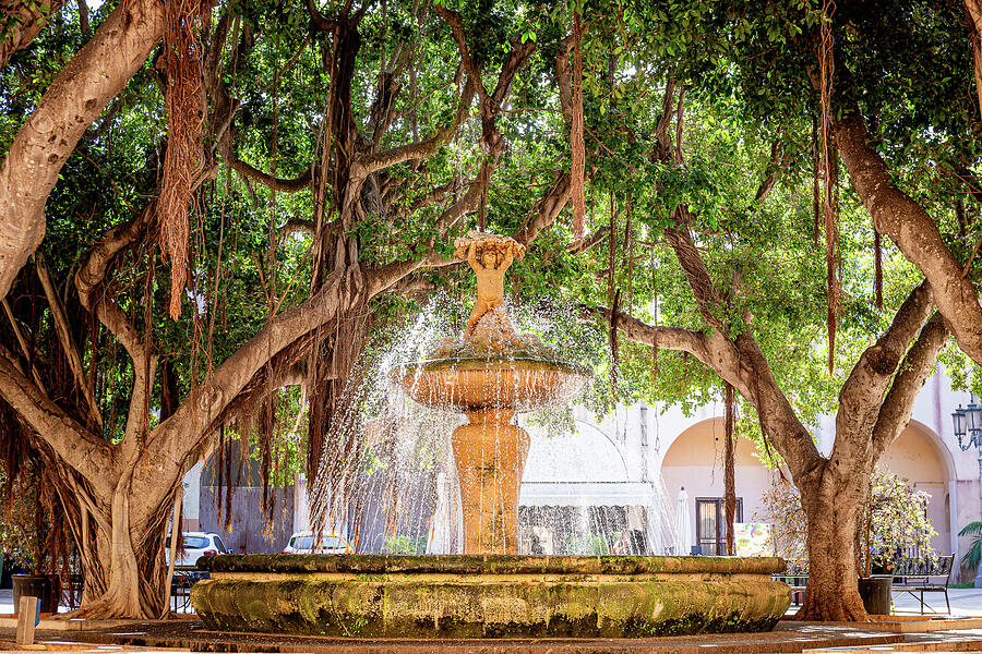 Marsala Sicily Fountain Photograph by Craig A Walker