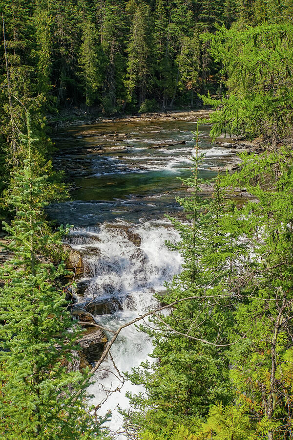 McDonald Falls in Glacier National Park #1 Photograph by Nancy Gleason
