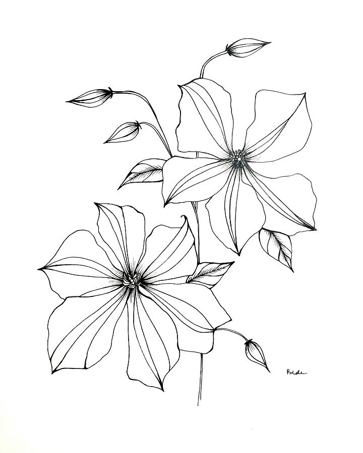 Mental Beauty Drawing by Catherine Bede