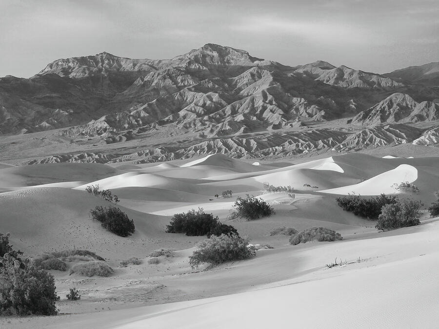 From the Mesquite Dunes to the Grapevine Range Photograph by Joe Schofield