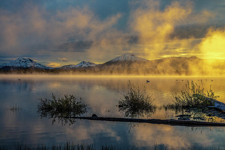 Merging Morning Photograph by Tim Lyden